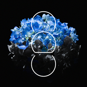 1024免费永久福利视频
