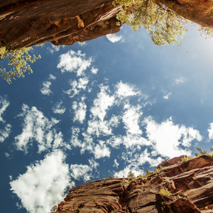 1024免费永久福利视频
